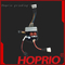 Бесщеточный контроллер Hoprio, дистрибьютор гарантированного качества