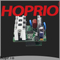 Завод быстрой доставки контроллера Hoprio bldc