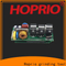Контроллер бесщеточного двигателя с регулируемой скоростью Hoprio, производитель высокого качества