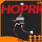 Контроллер бесщеточного двигателя с регулируемой скоростью Hoprio, распределитель с гарантией качества
