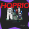 Контроллер электродвигателя с регулируемой скоростью Hoprio, качество которого гарантировано
